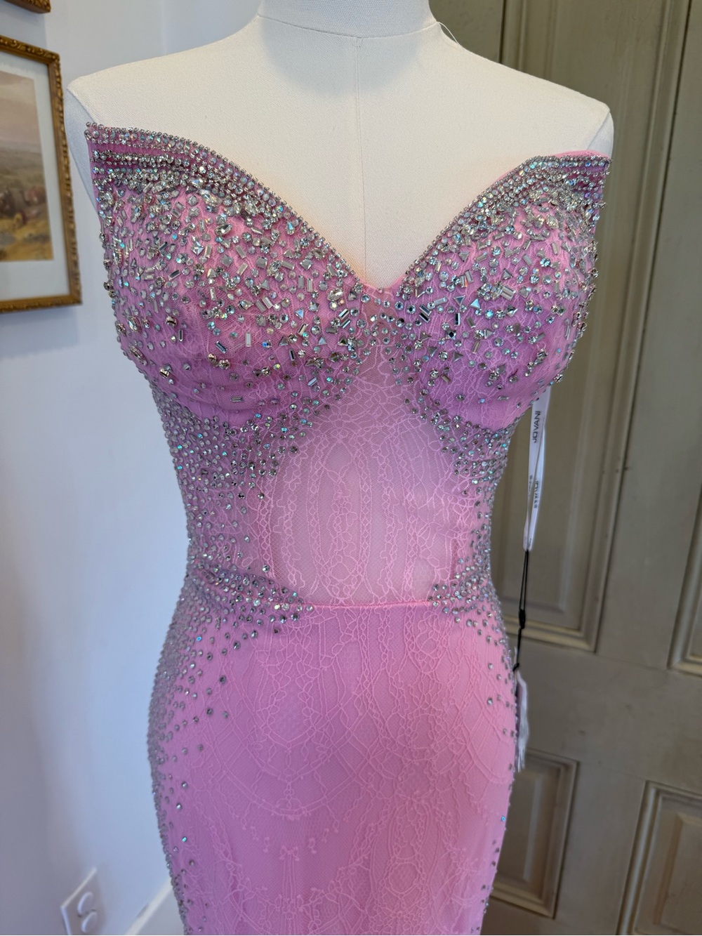 Jovani NWT Pink Lace Gown - Picture 4 of 8